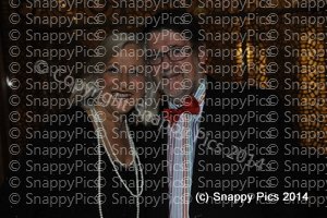 RCH6_14_AJC1827.JPG