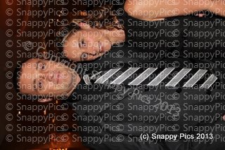 RM7_13IMG_8167.JPG