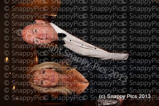 RM7_13IMG_8186.JPG