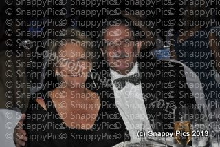 RM7_13_AJC9578.JPG