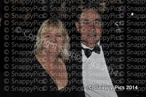 MC7_14_AJC2674.JPG