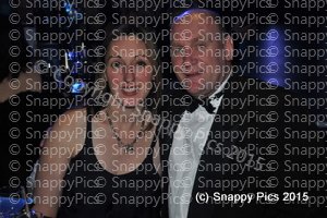 RMH7_15AJC_5660.JPG