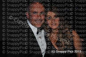 RMH7_15AJC_5665.JPG