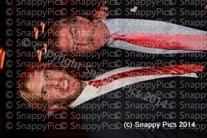 SydS9_14IMG_0222.JPG