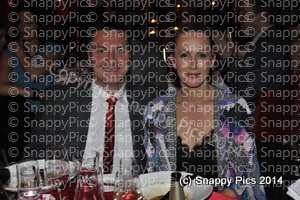 SydS9_14_AJC7607.JPG