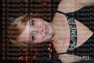ST10_13IMG_0197.JPG