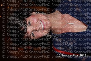 ST10_13IMG_9999.JPG