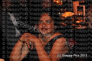 ST10_13_AJC4712.JPG