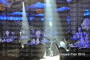 ShTb10_15_AJC_1793.JPG