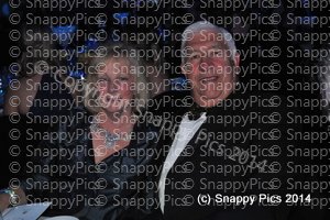 ST10_14_AJC_8235.JPG