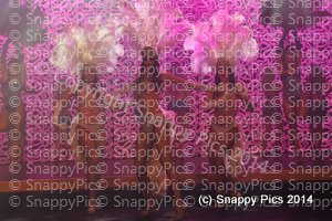 ST10_14_AJC_8313.JPG
