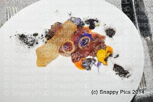 ST10_14_AJC_8315.JPG