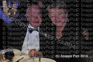 ST10_14_AJC_8362.JPG