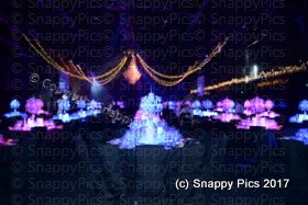 SharedT10_17AJC_8389.JPG