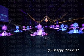 SharedT10_17AJC_8405.JPG