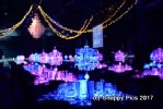 SharedT10_17AJC_8375.JPG