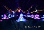 SharedT10_17AJC_8389.JPG