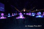 SharedT10_17AJC_8405.JPG