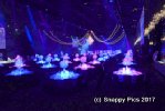 SharedT10_17AJC_8409.JPG