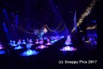 SharedT10_17AJC_8417.JPG