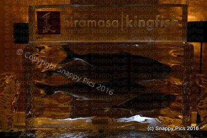 ST10_16_AJC_5925.JPG