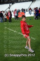 SW-F-D-9_12-DSC01462.JPG