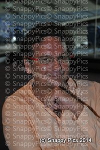 Vel9_14_AJC6659.JPG