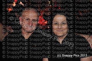 WK10_13_AJC4998.JPG