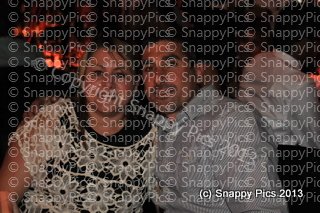 WK10_13_AJC5009.JPG