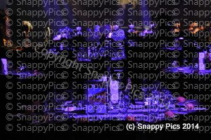 WC7_14_AJC2720.JPG