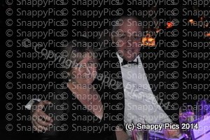 WC7_14_AJC2885.JPG