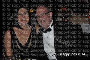 WC7_14_AJC2899.JPG