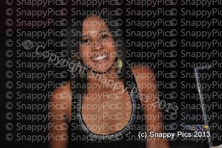 WCE_9_13_AJC2218.JPG